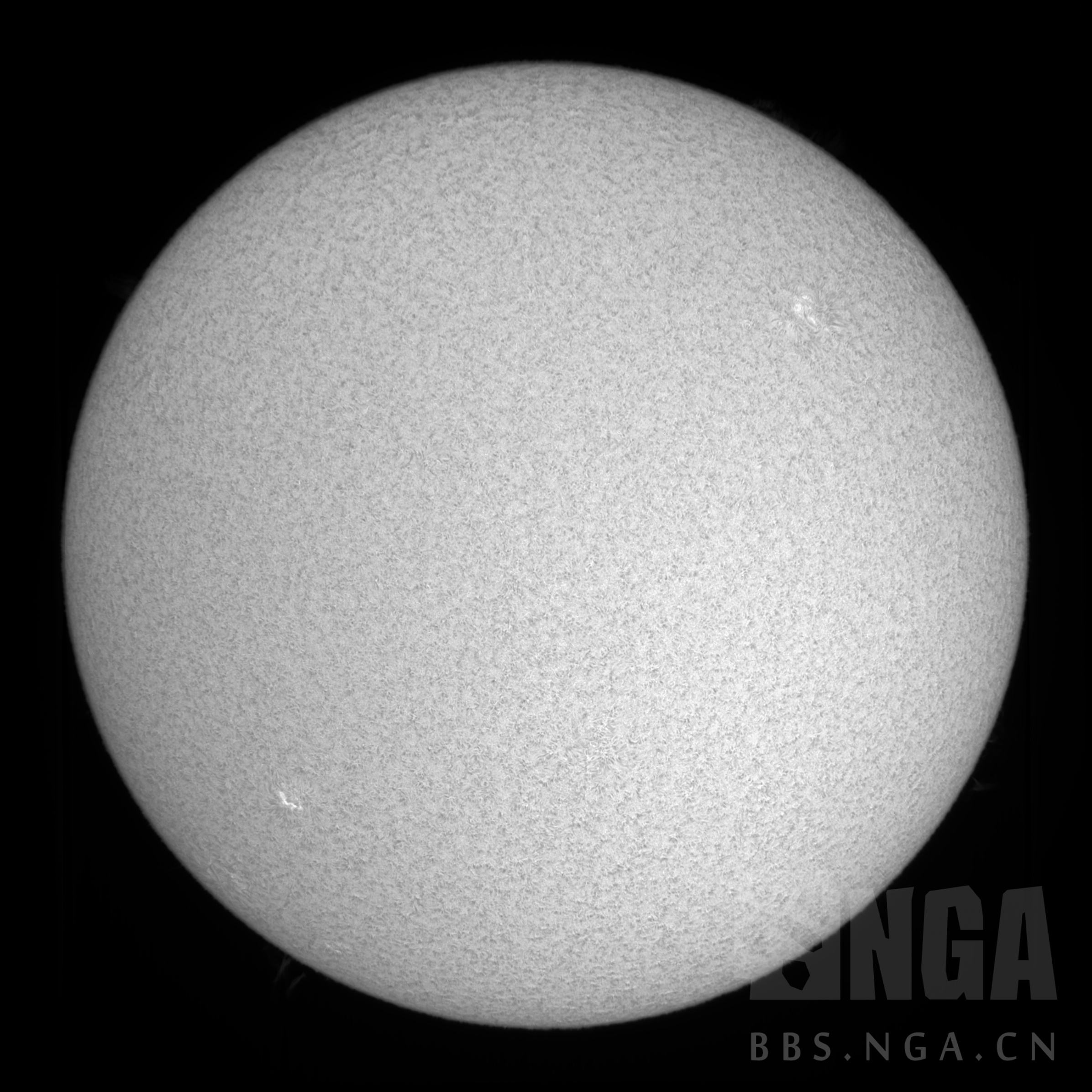 阿莫西林胶囊的作用功效